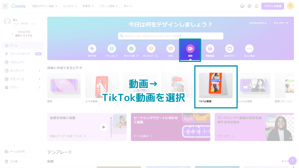 1. ホーム画面から動画→TikTok動画を選択