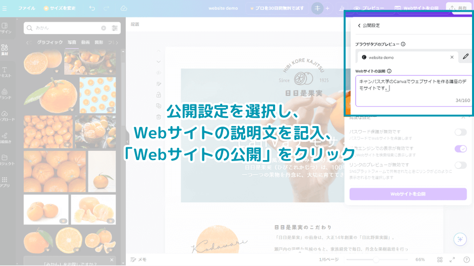 3.公開設定を選択しウェブサイトの説明文を記入、「Webサイトの公開」をクリック