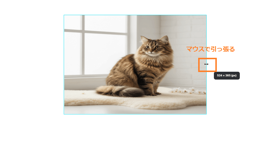 ミリキャンバスの画像サイズ変更